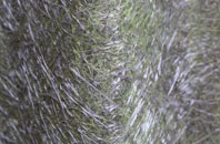 Farley fibreglass roof work